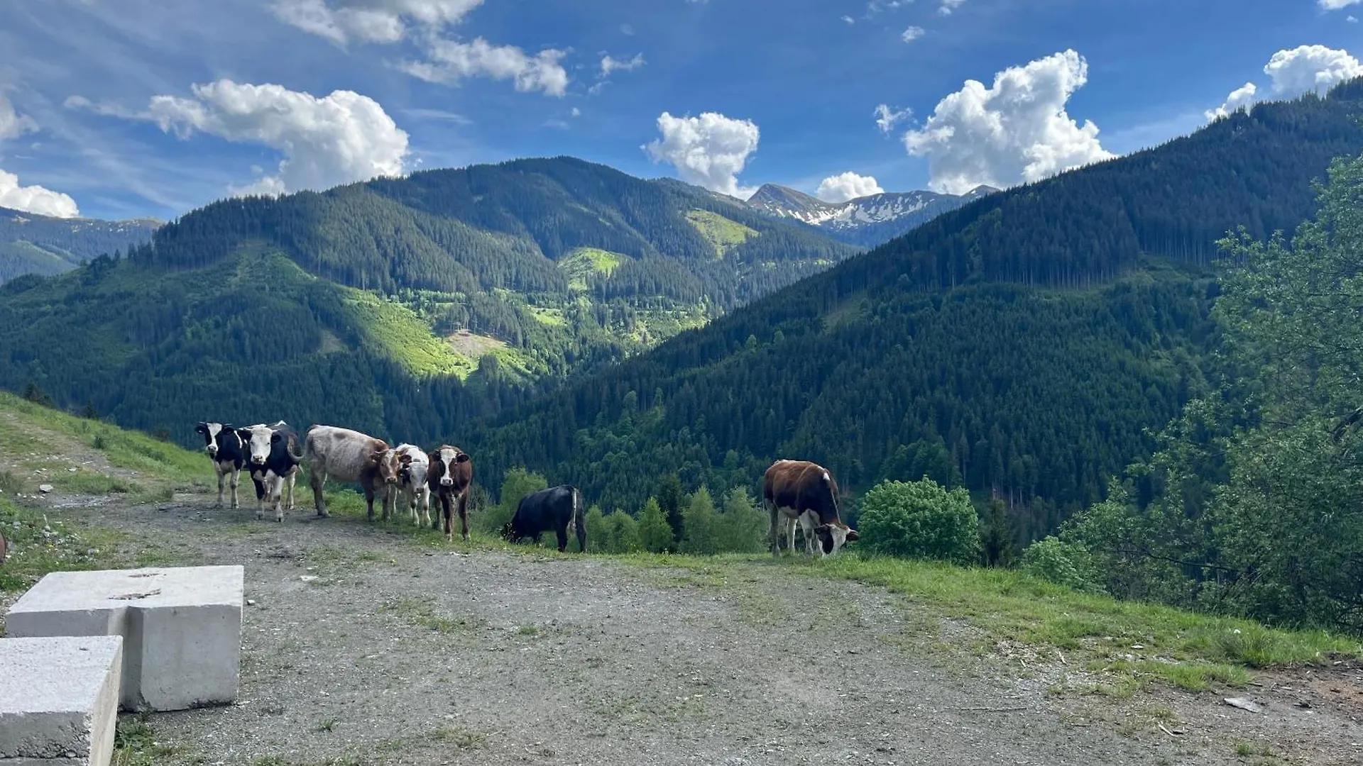 Apartman Landhaus Oberzinnegg Saalbach Hinterglemm